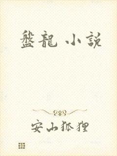 盘龙 小说封面