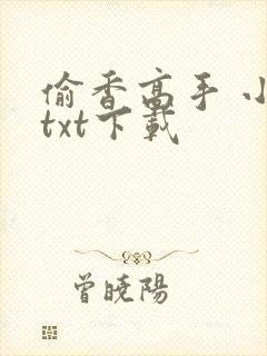 偷香高手 小说txt下载