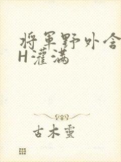 将军野外含公主H灌满