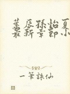 叶辰孙怡夏若雪最新章节小说心