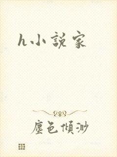 h小说家