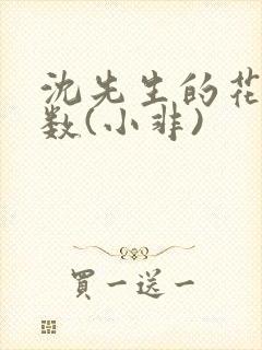 沈先生的花式调数(小非)封面