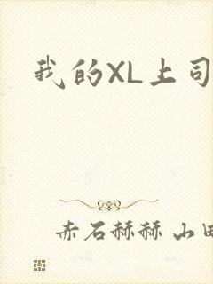 我的XL上司