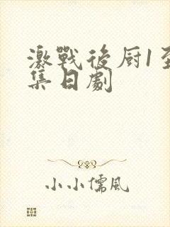 激战后厨1至5集日剧