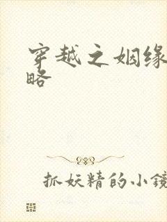 穿越之姻缘劫攻略封面