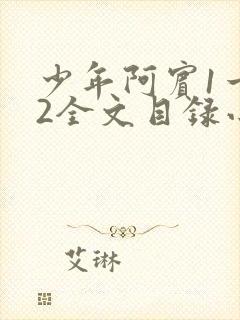 少年阿宾1一72全文目录小说封面