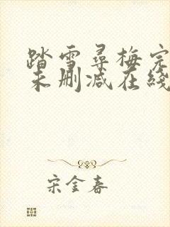 踏雪寻梅完整版未删减在线免费观看封面