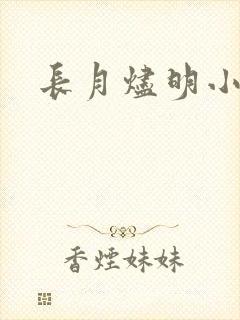 长月烬明小说封面