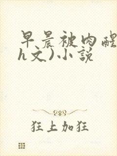 早晨被肉醒h(h文)小说