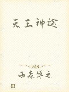 天王神途