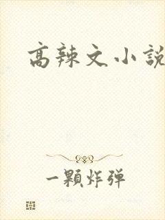 高辣文小说封面