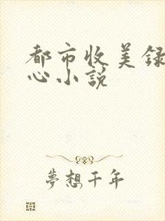 都市收美录宁素心小说