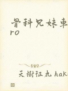 骨科兄妹车多pro