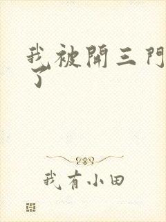 我被开三门痛晕了封面