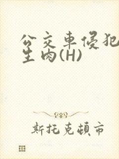 公交车侵犯小男生肉(H)