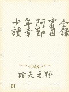 少年阿宾全文阅读章节目录