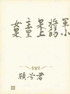 女主是将军男主是皇上的小说