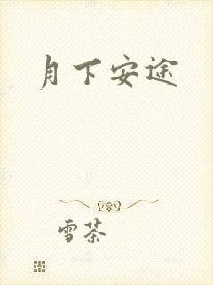 月下安途