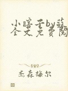 小瞎子by苏软全文免费阅读