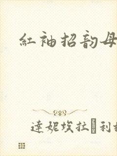 红袖招韵母攻略封面