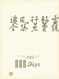 追风行动电视剧全集免费观看