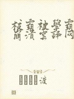 校霸被学霸玩到崩溃云译网