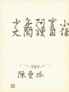 少年阿宾小说全文阅读目录免费