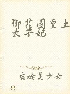 御花园皇上撞着太子妃