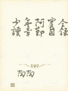 少年阿宾全文阅读章节目录