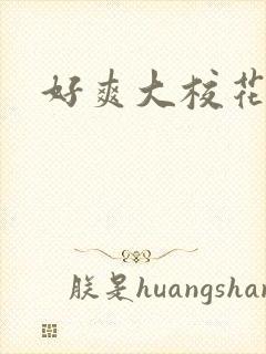 好爽大校花h文