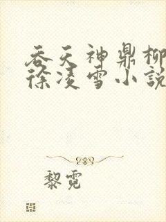 吞天神鼎柳无邪徐凌雪小说