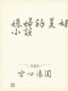 媳妇的美好时代小说封面