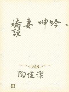 娇妻 呻吟 小说封面