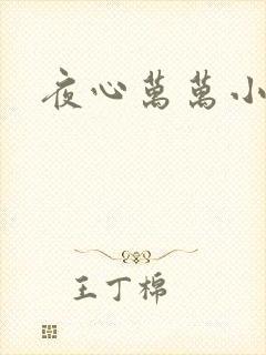 夜心万万小说