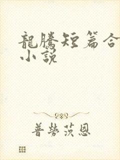 龙腾短篇合集的小说