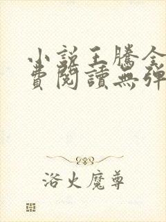 小说王腾全文免费阅读无弹窗封面