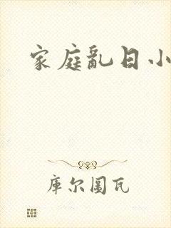 家庭乱日小说