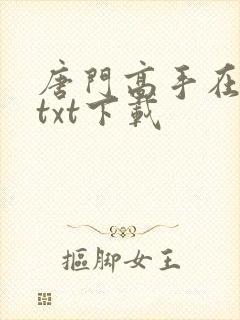唐门高手在异世txt下载