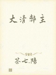 大清弊主封面