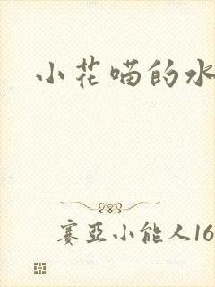 小花喵的水蜜桃封面