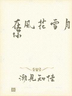 在风花雪月里等你