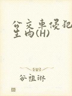 公交车侵犯小男生肉(H)