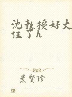 沈教授好大含不住了h