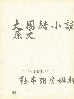 大团结小说阅读原文