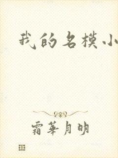 我的名模小娇妻封面
