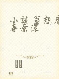 小说 翁想房中春意浓