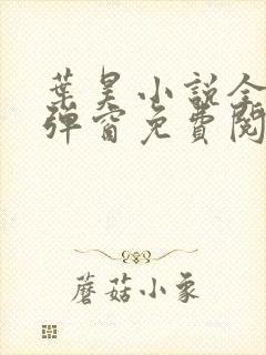 叶昊小说全文无弹窗免费阅读