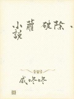 小萝 破除 小说