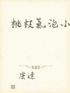 桃枝气泡小说封面