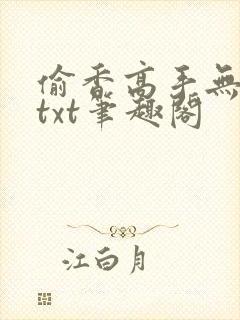 偷香高手无删减txt笔趣阁